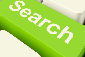 search-button